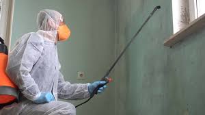 Shawnee Hills, OH Mold Removal & Remediation Company