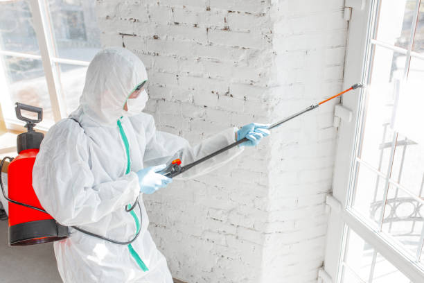 Best Biohazard Mold Removal  in Shawnee Hills, OH