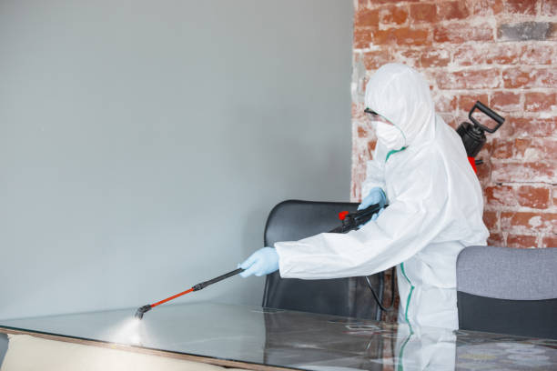 Best Crawl Space Mold Remediation  in Shawnee Hills, OH