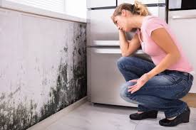 Best HVAC Mold Inspection and Cleaning  in Shawnee Hills, OH